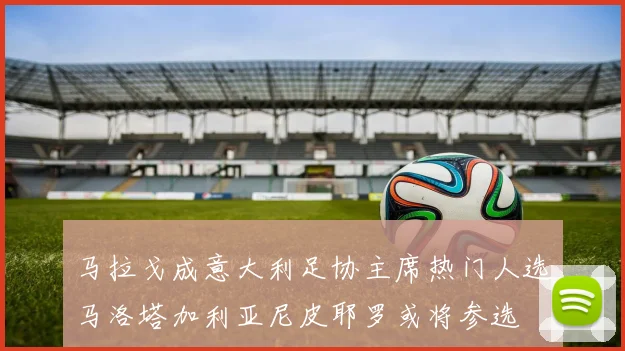 马拉戈成意大利足协主席热门人选马洛塔加利亚尼皮耶罗或将参选
